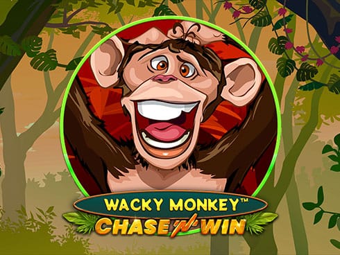 Wacky Monkey - Chase'N'Win game cover
